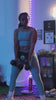 lily flex fitness classes